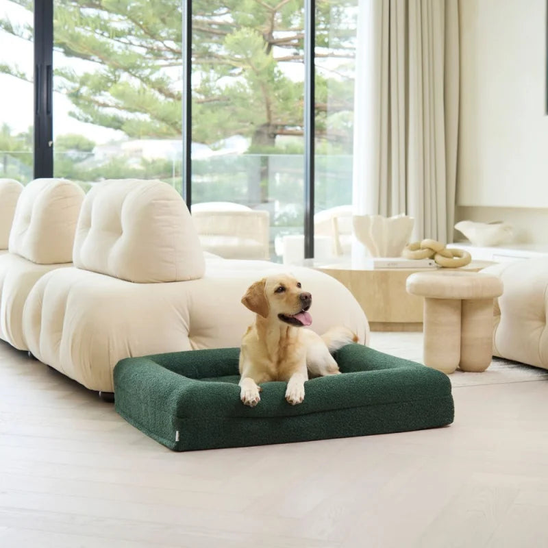 Temporary placeholder – The Sunpatch Bed in Saltbush