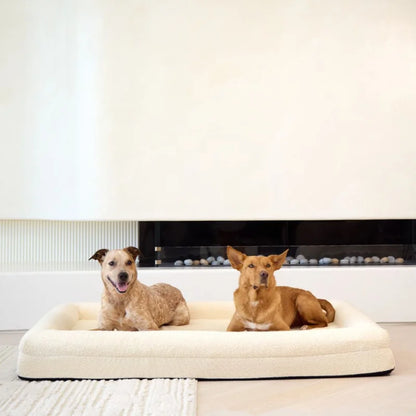 Temporary placeholder – The Sunpatch Bed in Shell