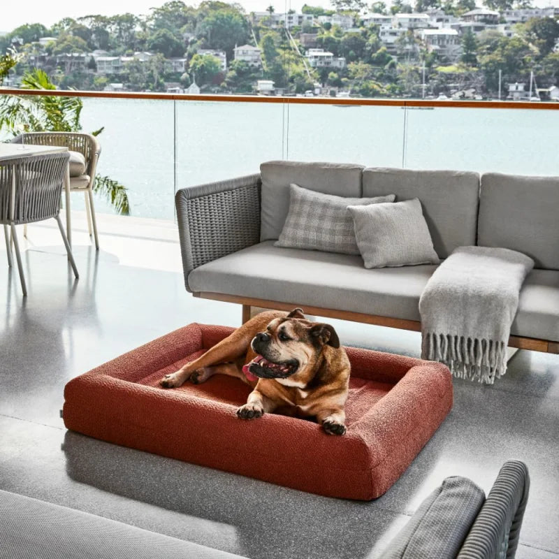 Temporary placeholder – The Sunpatch Bed in Ochre