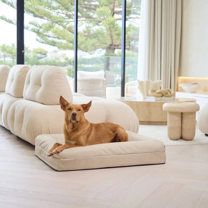 Temporary placeholder – The Sunpatch Bed in Dune