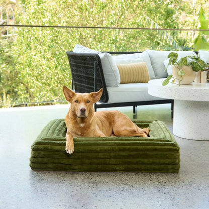 Temporary placeholder – The Sunpatch Bed in Gumleaf