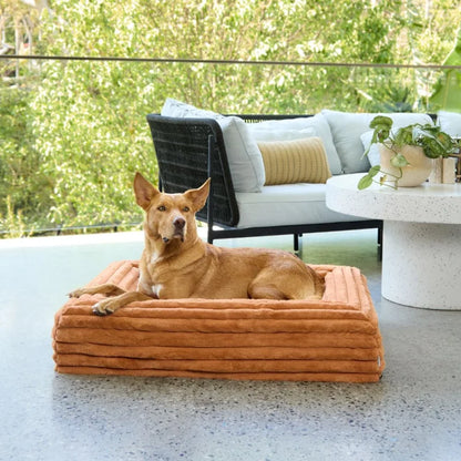 Temporary placeholder – The Sunpatch Bed in Clay
