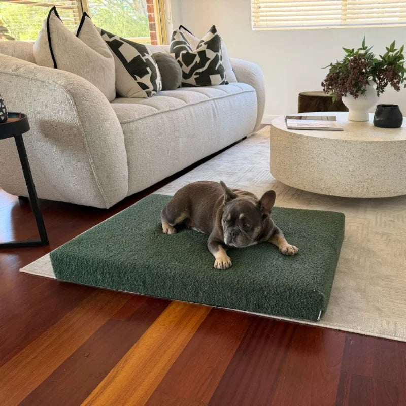 Temporary placeholder – The Low Mattress in Saltbush