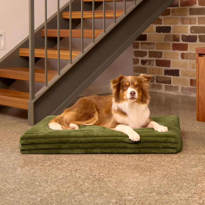 Temporary placeholder – The Low Mattress in Gumleaf
