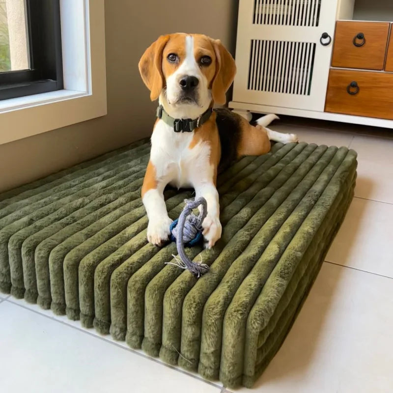 Temporary placeholder – The Low Mattress in Gumleaf